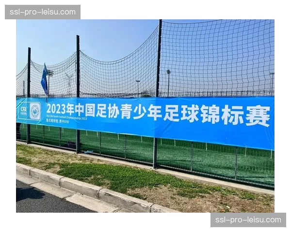 中国足协与北京市体育局成立联合调查组，彻查青少年联赛虚假比赛